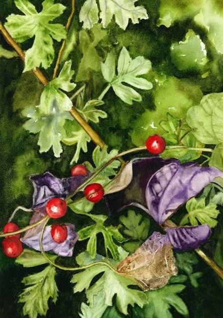 Winterberries - In private collection